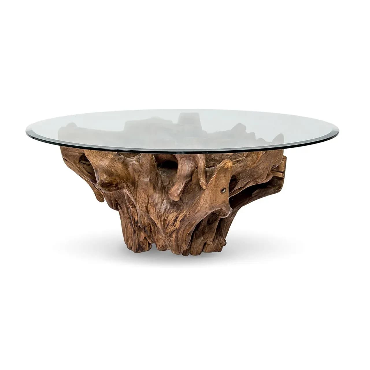 Natura large Root round coffee table — image 2
