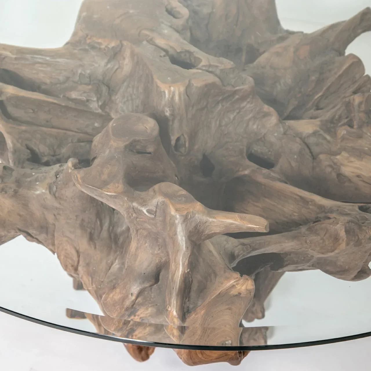 Natura large Root round coffee table — image 3
